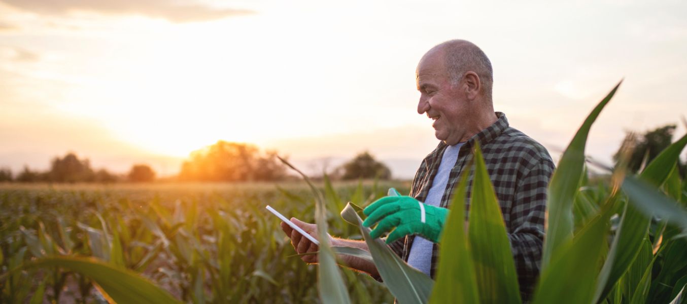 Understanding your investments