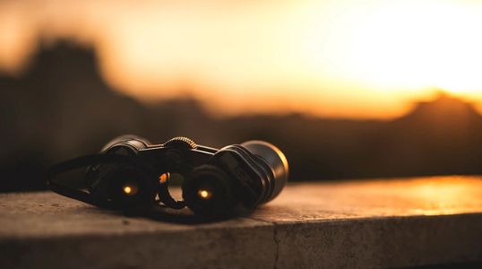 Spring Market Outlook 2024