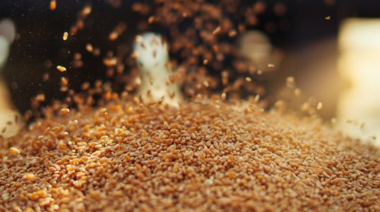 Commodities explained