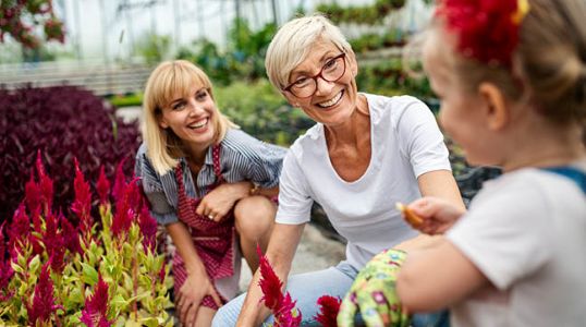 What is intergenerational wealth management?